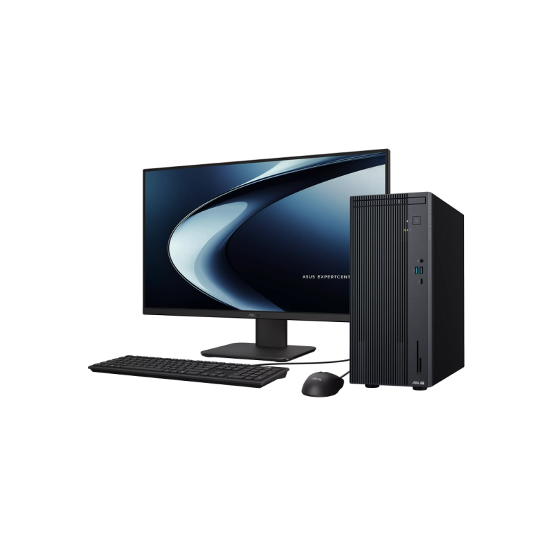 Desktop PC Asus ExpertCenter P500MV, 268198