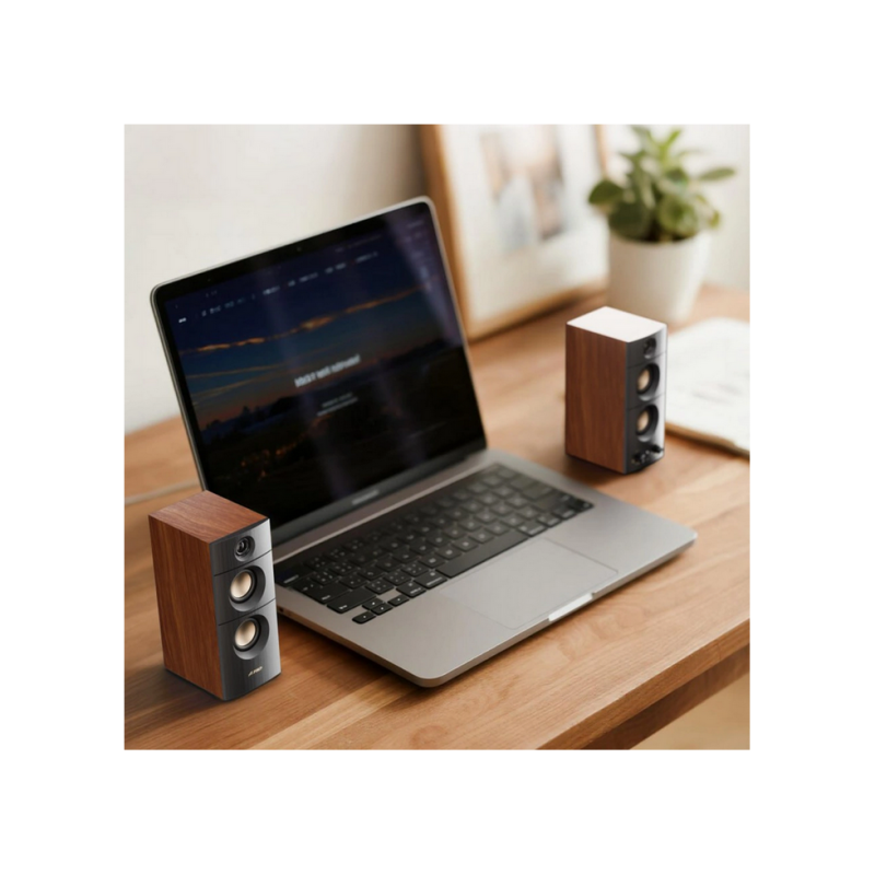 Speakers F&D R330BT Black+Wooden