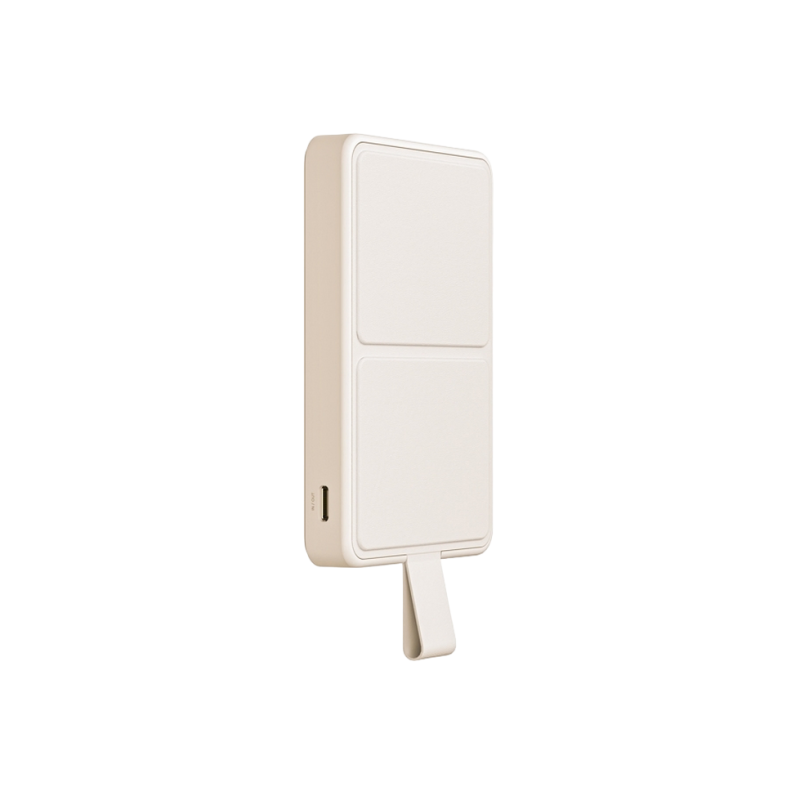 Пауэрбанк Xiaomi Tan GL