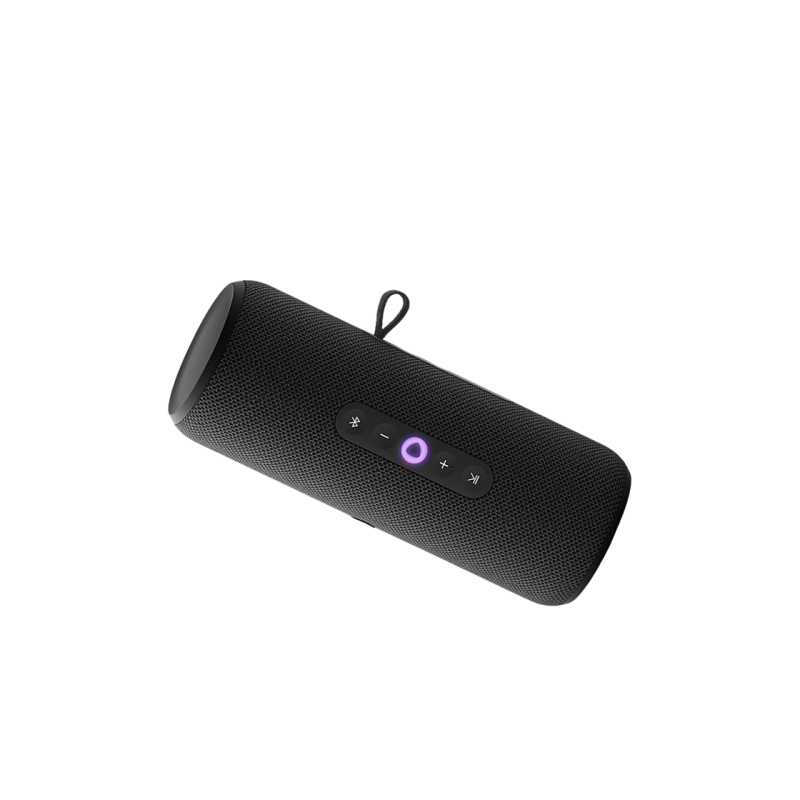 Портативная колонка Yandex Station Street, Black YNDX-00030BLK