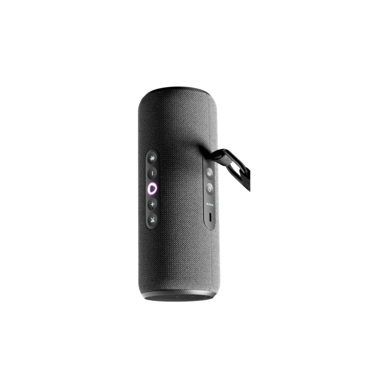 Портативная колонка Yandex Station Street, Black YNDX-00030BLK