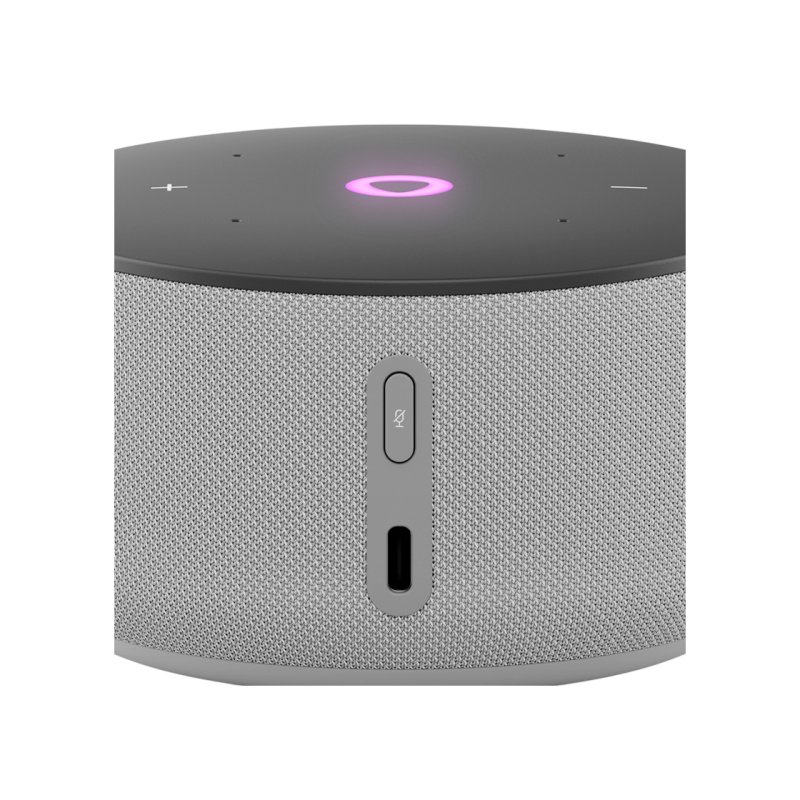 Портативная колонка Yandex station Mini 3, Grey, YNDX-00027GRY