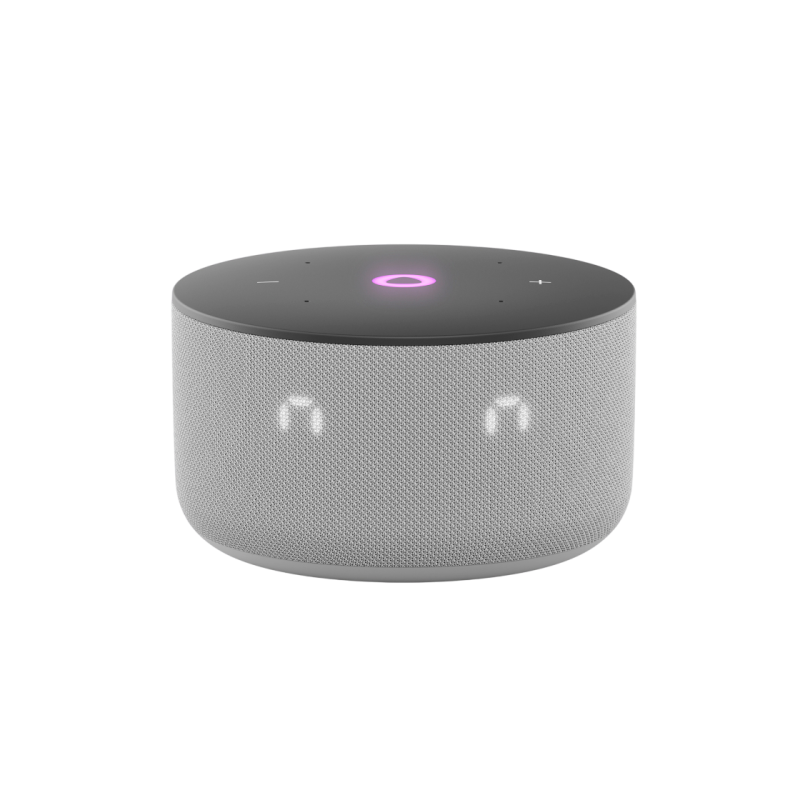 Портативная колонка Yandex station Mini 3, Grey, YNDX-00027GRY