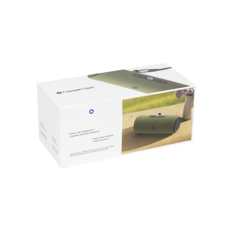 Портативная колонка Yandex Station Street, Green, YNDX-00030GRN