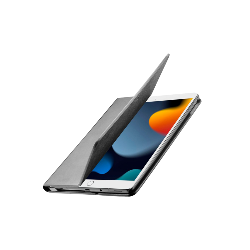 Сотовый Apple iPad 10.2 (2019), чехол-подставка черного цвета