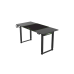 Игровой стол Gamemax D160-EC, 160 x 750 x (72–117) см, электрорегулировка высоты, подстаканник, держатель для гарнитуры, запираемый