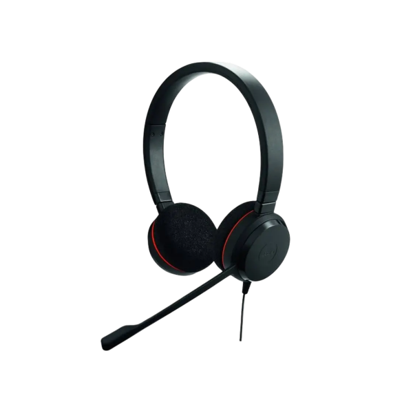 Headset Jabra Evolve 20 SE, Stereo MS, USB C/A adapter, Leather, Black