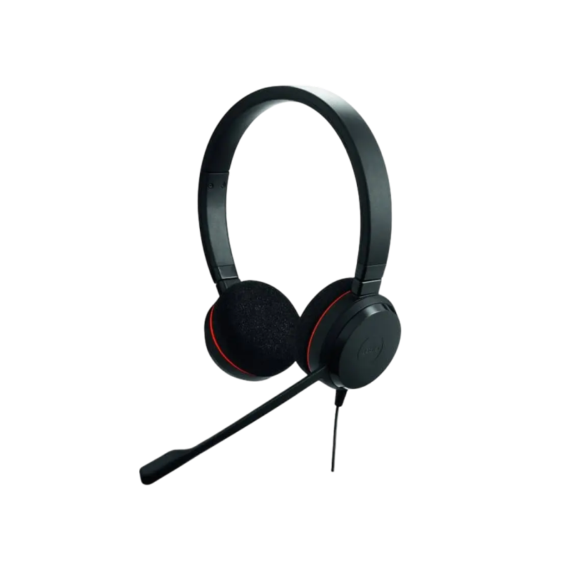 Гарнитура Jabra Evolve 20 SE, стерео MS, USB C/A адаптер, кожа, черный