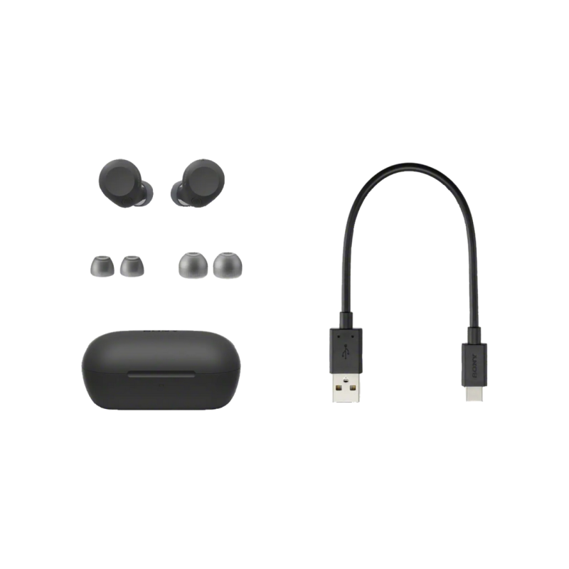 Bluetooth-наушники TWS SONY WF-C710NB, черные