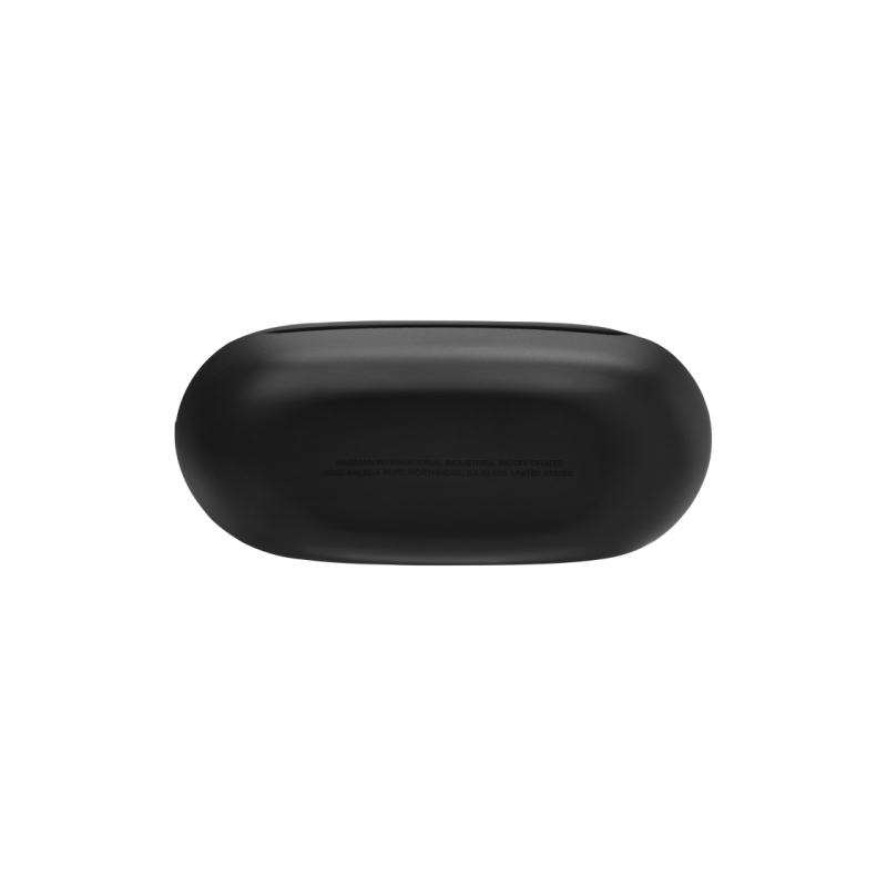 True Wireless JBL Endurance Race 2, Black