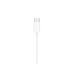 Наушники Apple EarPods с USB-C MYQY3, белые