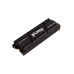 SSD 500Gb Kingston Fury Renegade, w/Aluminum Heatsink
