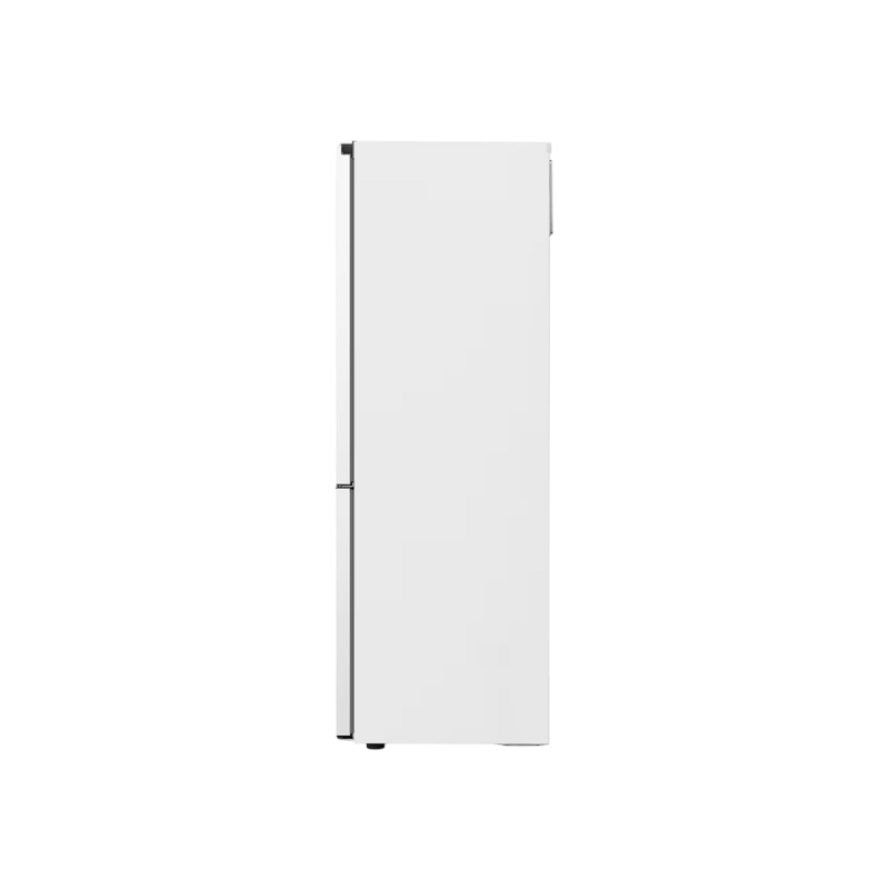 Холодильник LG GBV3100ESW