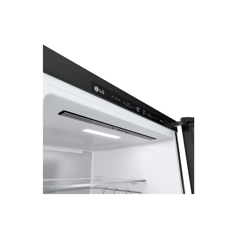 Холодильник LG GBB72BM9DQ, Class D
