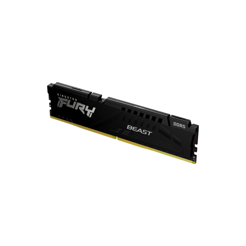 .16GB DDR5-6000MHz  Kingston FURY Beast (KF560C36BBE2-16), CL36-44-44, 1.35V, AMD EXPO 1.1/Intel XMP 3.0, Black