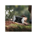 Роутер TP-Link M7450