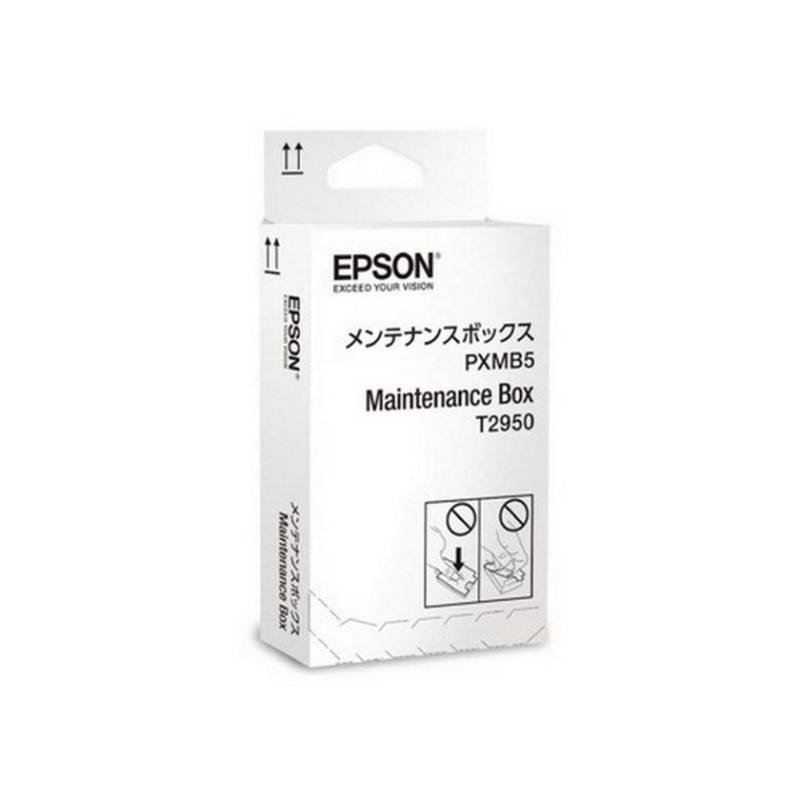Epson Maintenance Box T2950 для WorkForce WF-100W