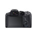 Фотоаппарат Canon EOS R7 Body, Black