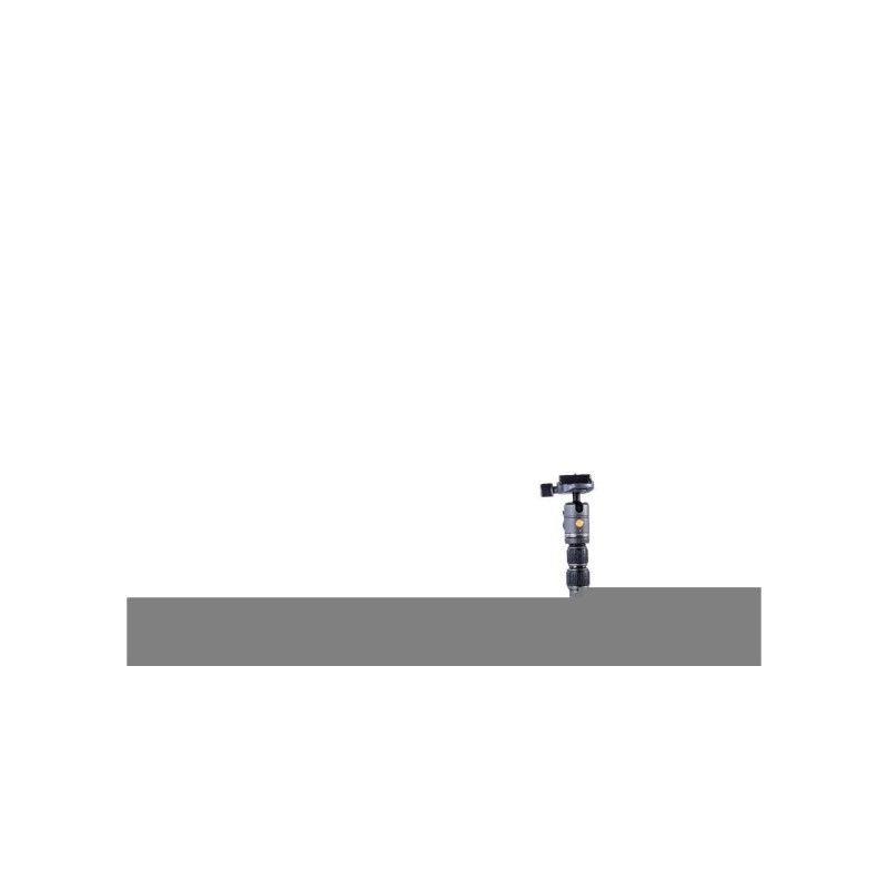 Tripod/Monopod Vanguard VEO3 GO 204CB