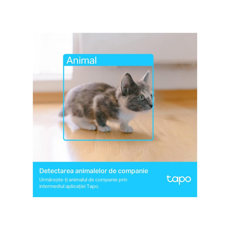 IP-камера TP-Link TAPO C225