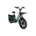 Электротранспорт FIIDO T2 GREEN