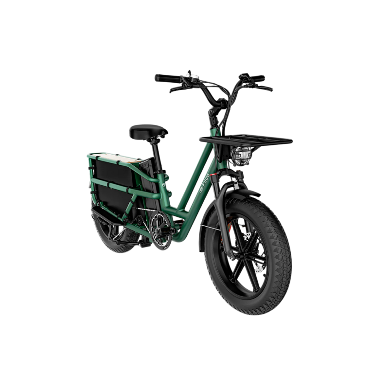 Электротранспорт FIIDO T2 GREEN