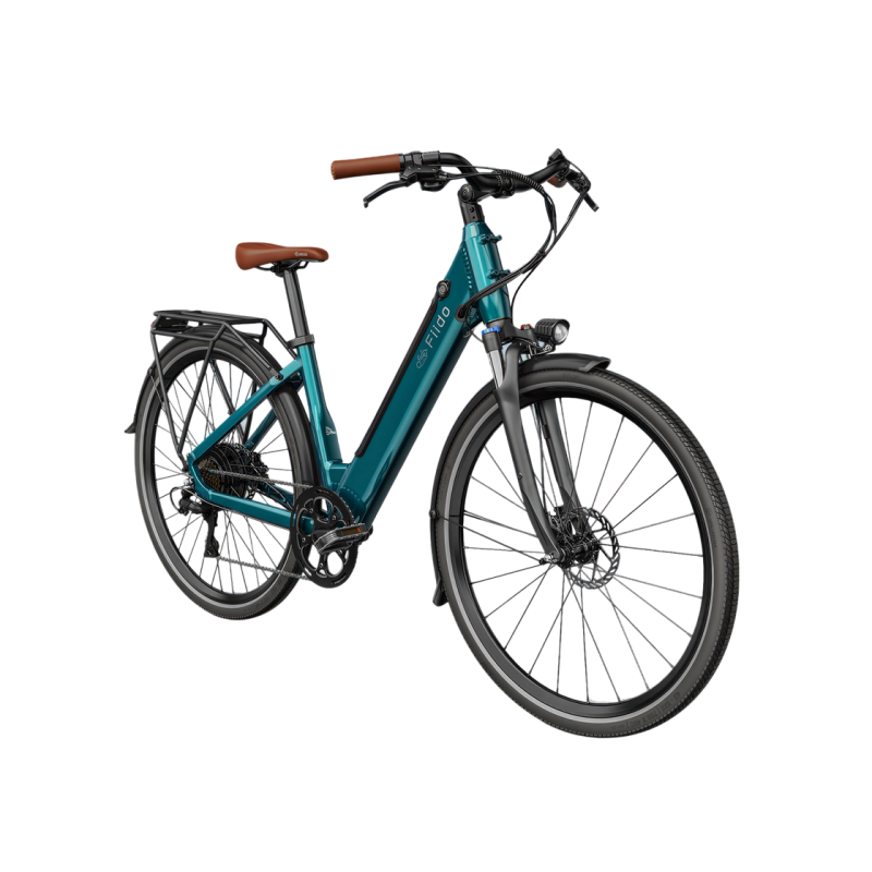 Electric bicycle FIIDO C11 PRo