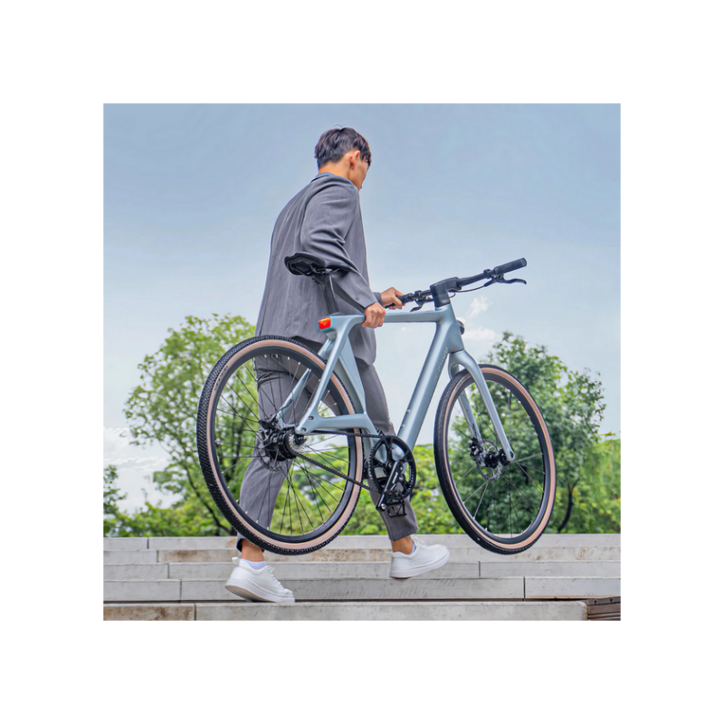 Electric bicycle FIIDO AIR Silver Carbon