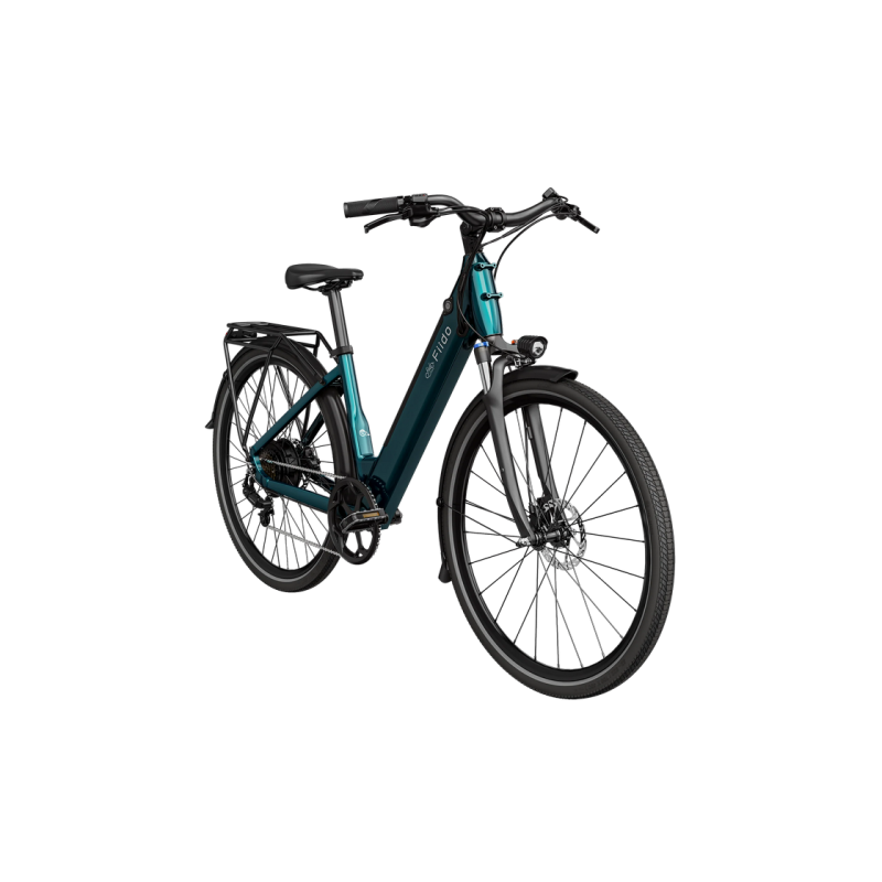 Electric bicycle FIIDO C11 BLUE