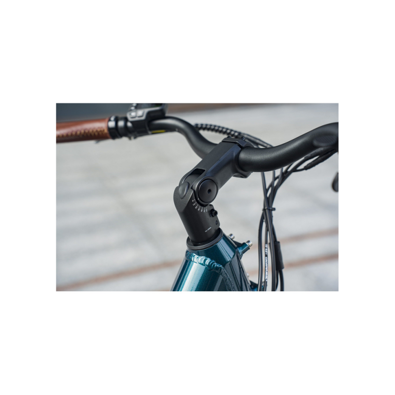 Electric bicycle FIIDO C11 PRo