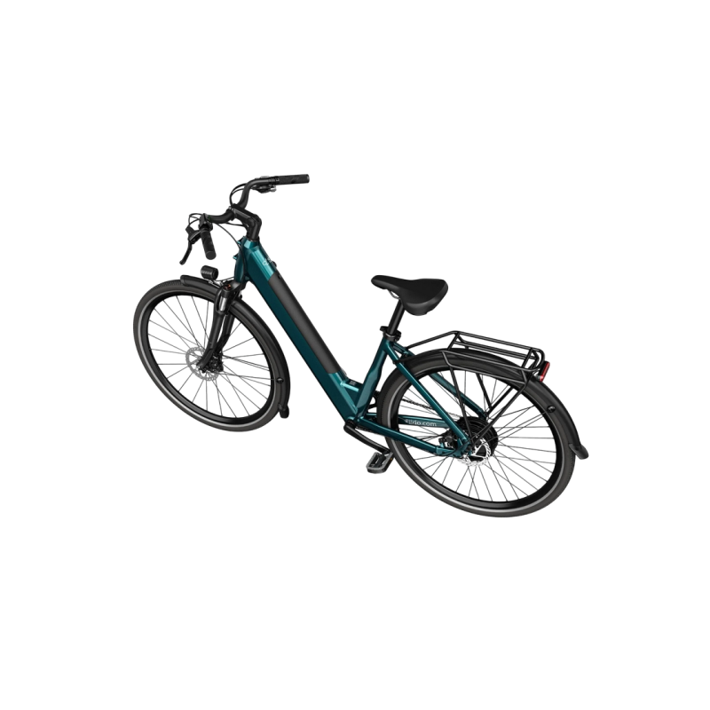 Electric bicycle FIIDO C11 BLUE