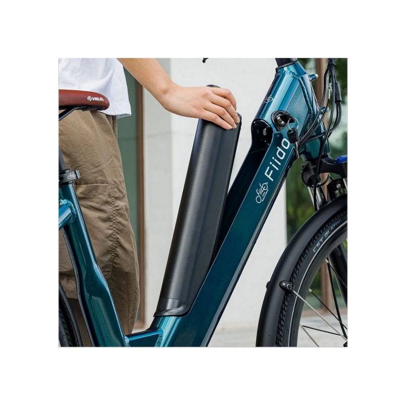 Electric bicycle FIIDO C11 PRo