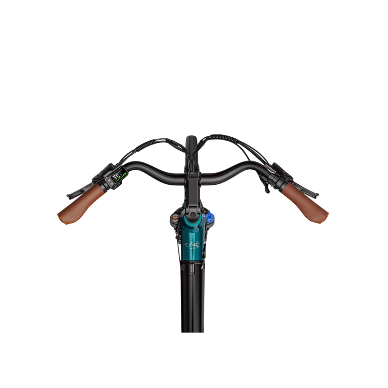 Electric bicycle FIIDO C11 PRo