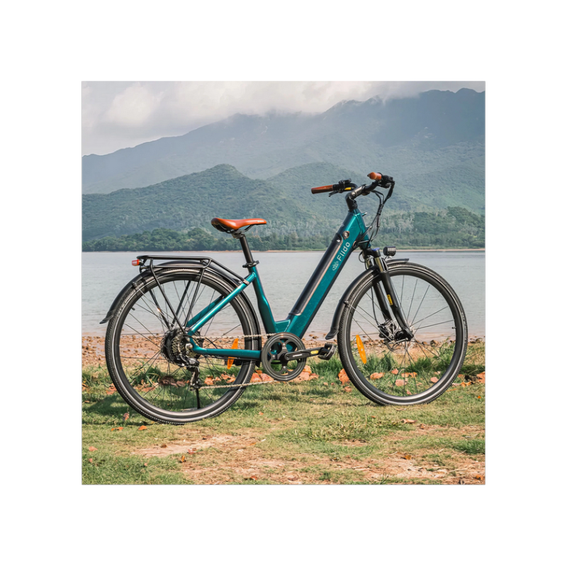 Electric bicycle FIIDO C11 PRo