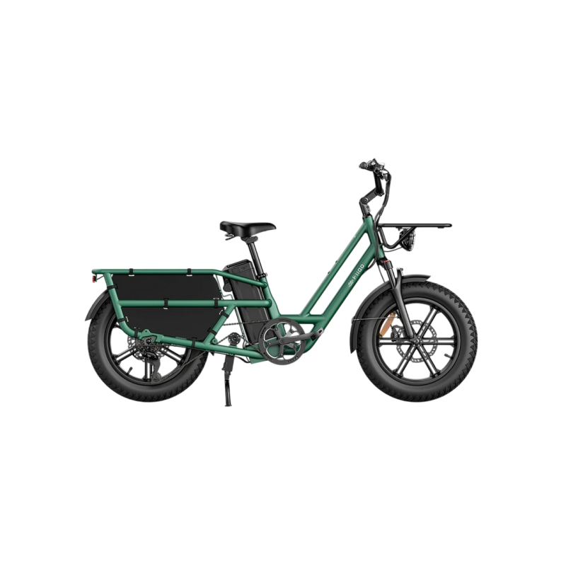 Электротранспорт FIIDO T2 GREEN