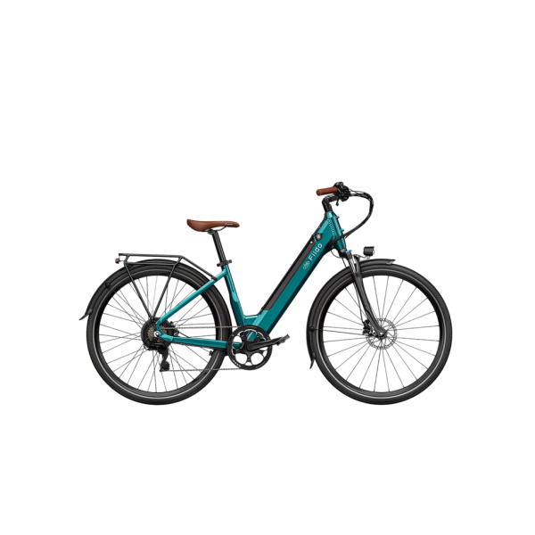 Electric bicycle FIIDO  C11 PRo