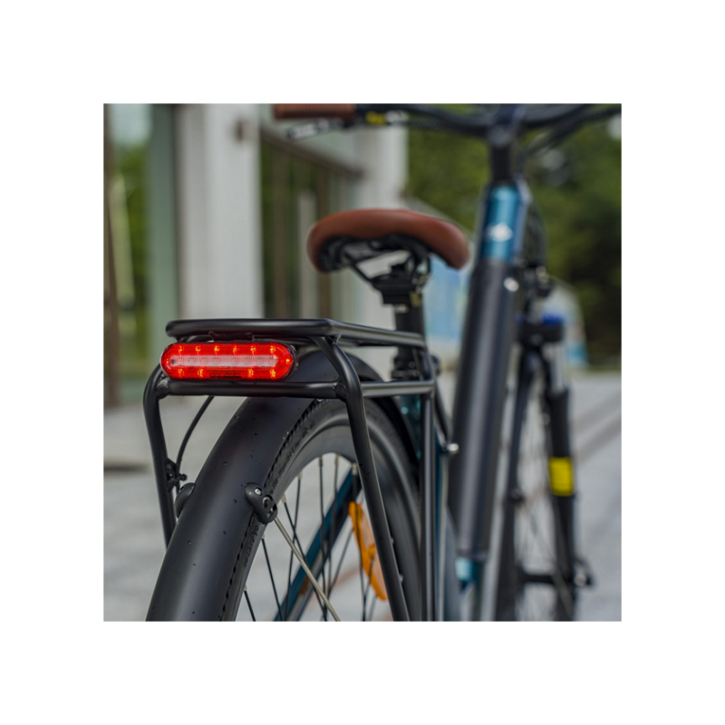 Electric bicycle FIIDO C11 PRo