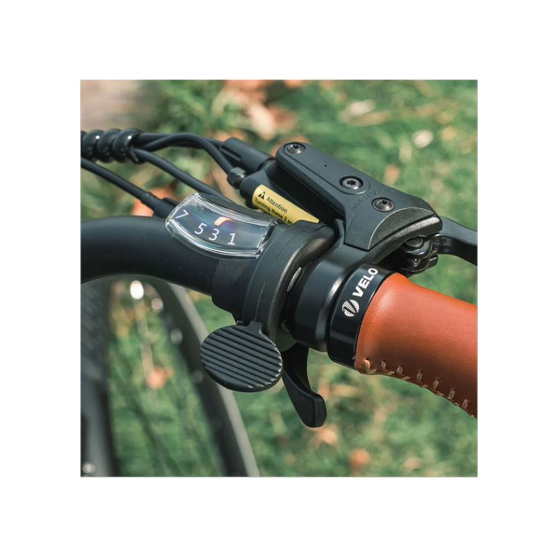 Electric bicycle FIIDO C11 PRo