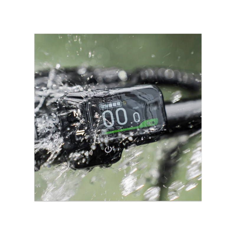 Electric bicycle FIIDO C11 PRo