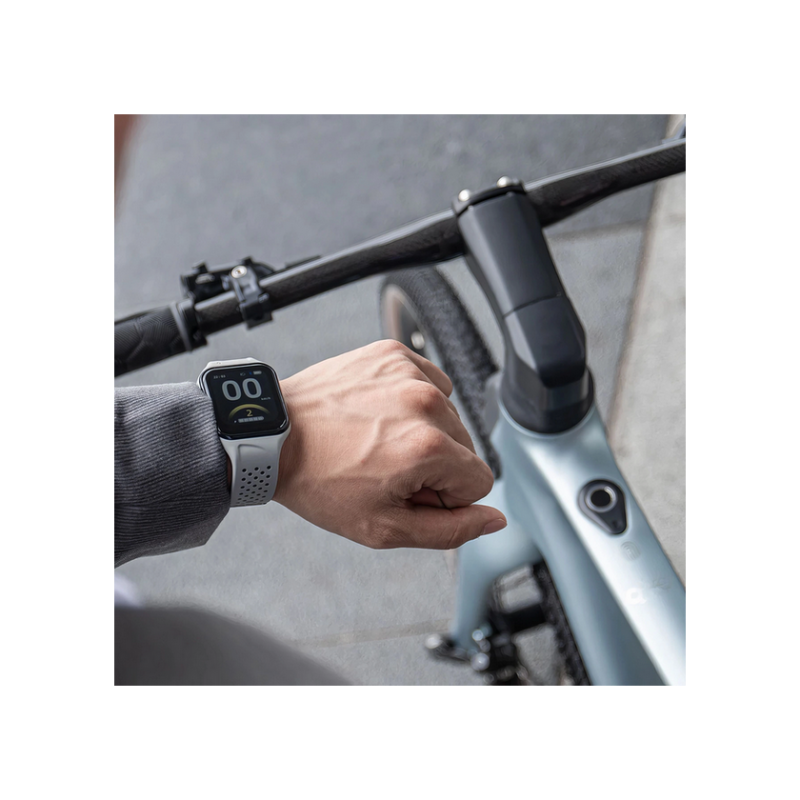 Electric bicycle FIIDO AIR Silver Carbon