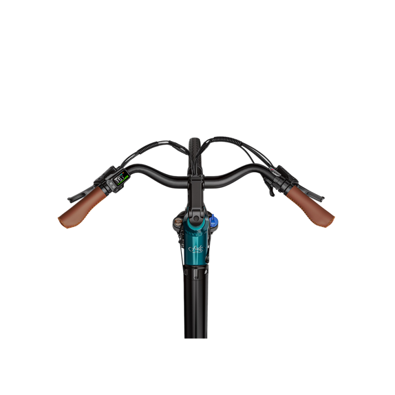 Electric bicycle FIIDO C11 PRo