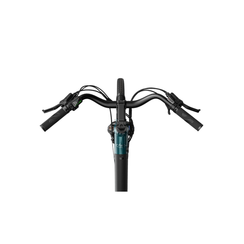 Electric bicycle FIIDO C11 BLUE