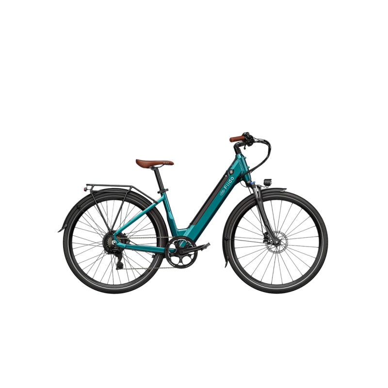 Electric bicycle FIIDO C11 PRo