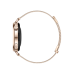 Huawei Watch GT 6 41mm Gold with Gold Milanese Strap