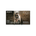 Televizor SONY K55XR55B