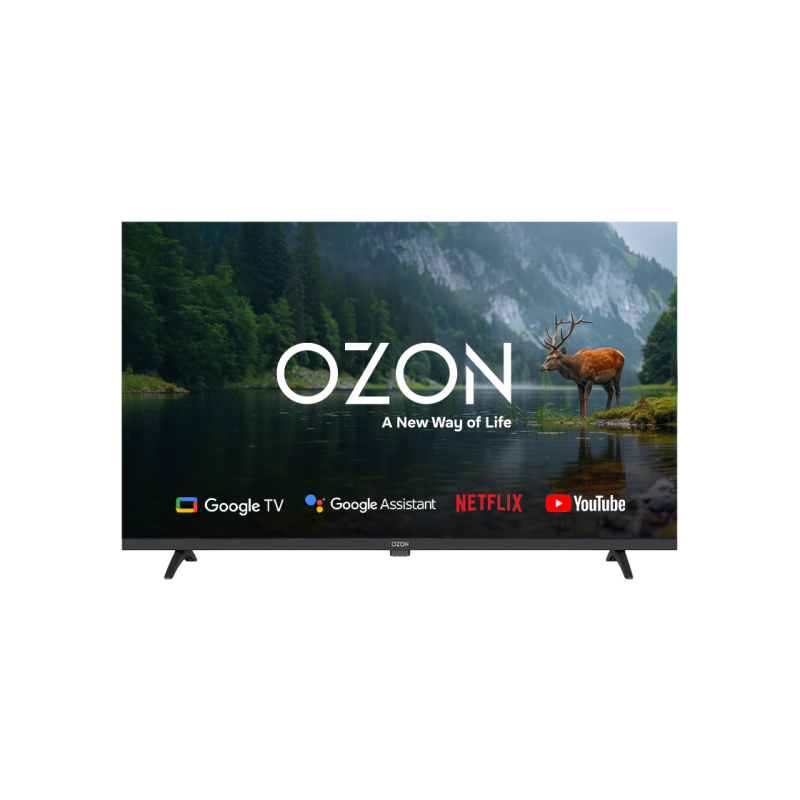 Televizor OZON H32S6000R