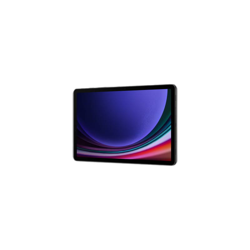 Планшет Samsung Galaxy Tab S9 WiFi, X710, 8/128, Graphite