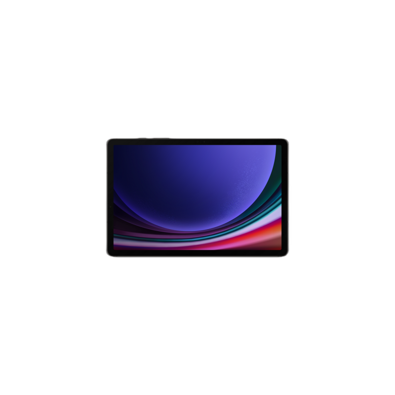 Планшет Samsung Galaxy Tab S9 WiFi, X710, 8/128, Graphite