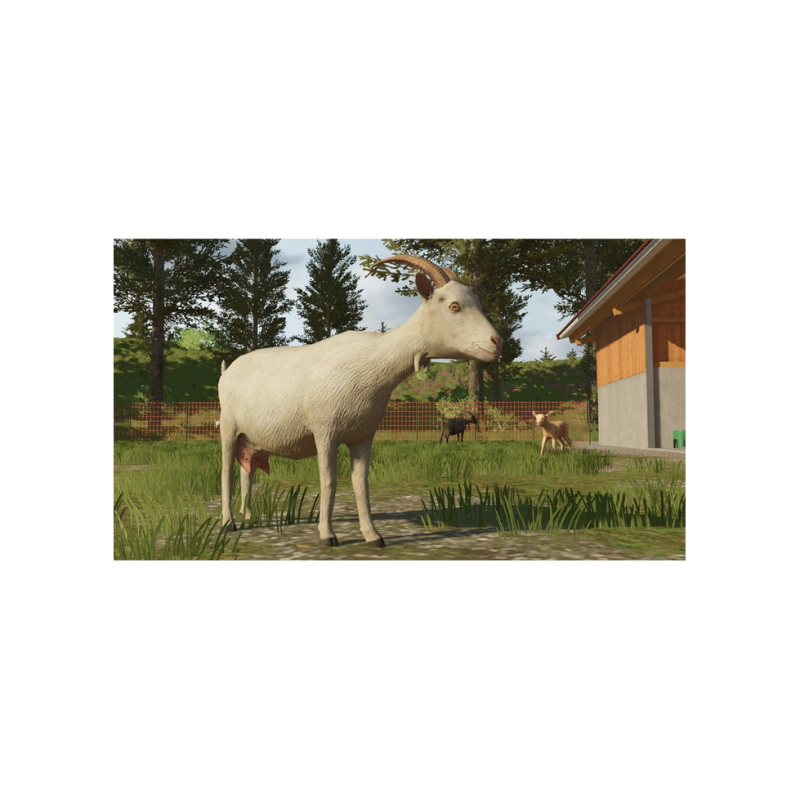 Game for Nintendo Switch Farming Simulator 26