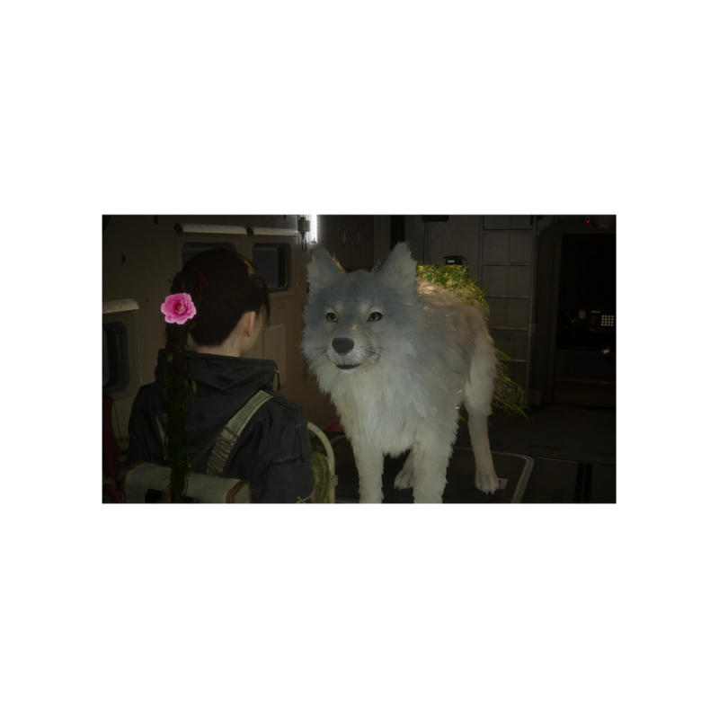 Game For PS5 Beast Of Reincarnation